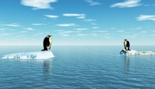 Luciano Ardingo: L'Aquila ha paura