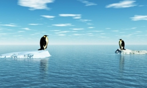 Luciano Ardingo: L'Aquila ha paura